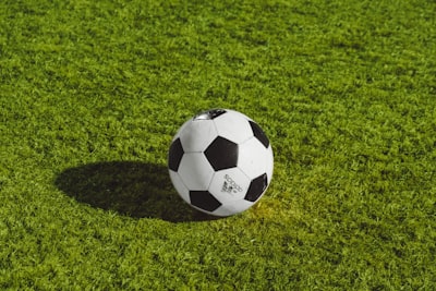 من هو بطل الدوري الألماني 2024؟